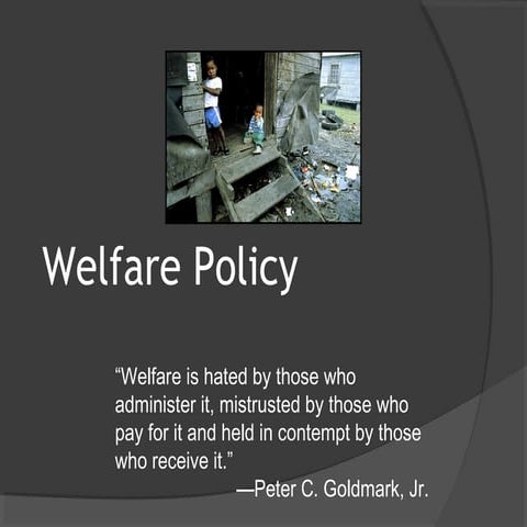 Lecture 9 american social protection and welfare 2016
