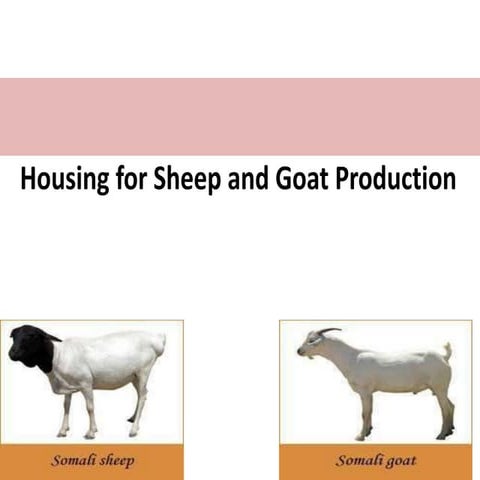 Lecture 9 animal production lecture notes