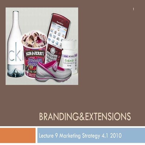 lecture9_branding_BB(1AAAAAAAAAAAAAAAAAAAAAAA).pdf