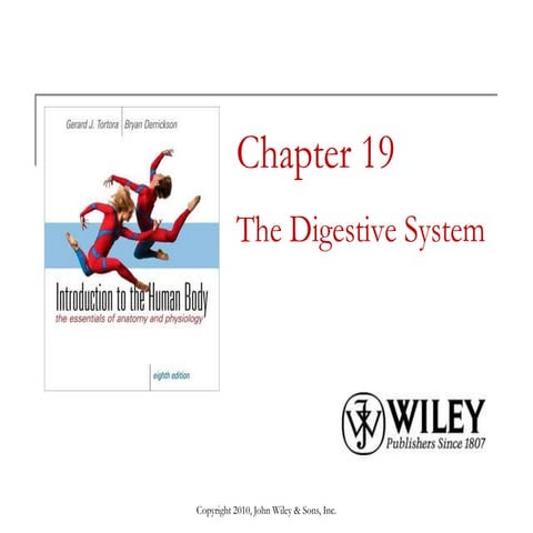Lecture 9 the digestive system
