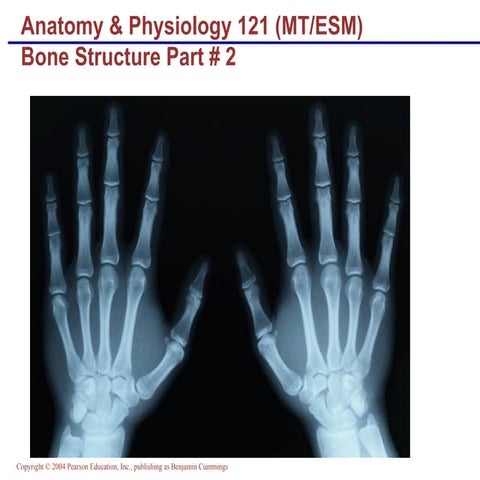 Lecture bone structure & markings #2clas