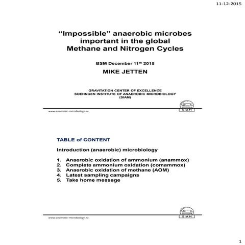 Lecture bsm vs dec11 slide share