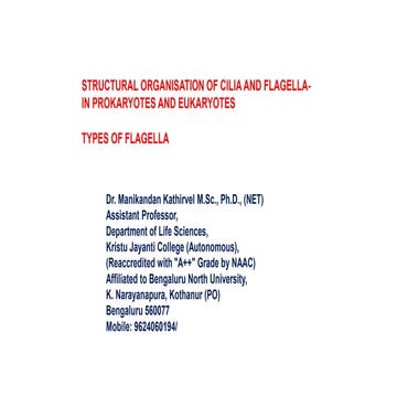 STRUCTURAL ORGANISATION OF CILIA AND FLAGELLA- IN PROKARYOTES AND ...