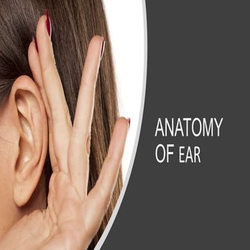 lecture ear.pptx