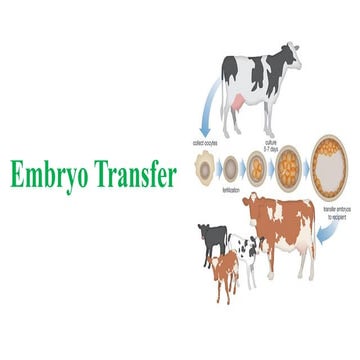 Lecture 20 superovulation and embryo transfer in cattle | PDF