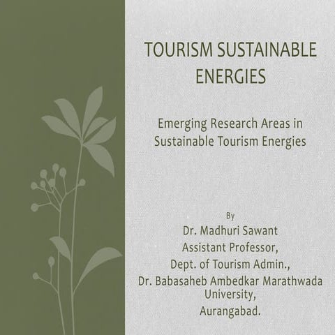 Emerging Research Areas in Sustainable Tourism Energies