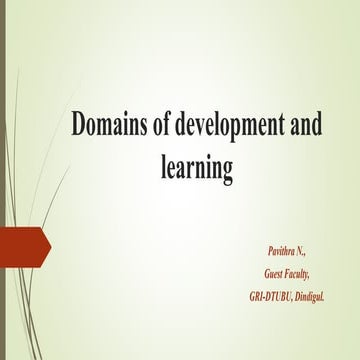 Developmental programmes and projects | PPTX