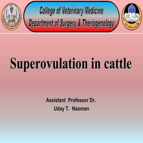 superovulation and its applications in cattle.ppt