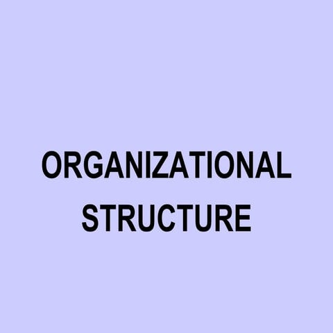 Lecture no. 2 org.structure