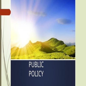 Public Policy and its various prospectss
