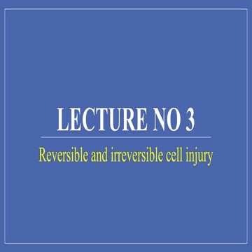 Difference between reversible and irreversible cell injury,Mechanism of cell ...