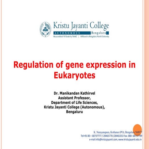Regulation of gene expression in eukaryotes