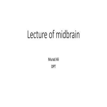 Lecture of midbrain