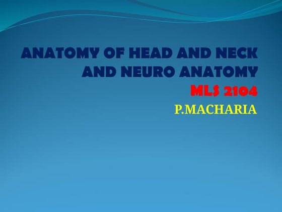 Clinical Anatomy Of Head And Neck American Association Of Clinical