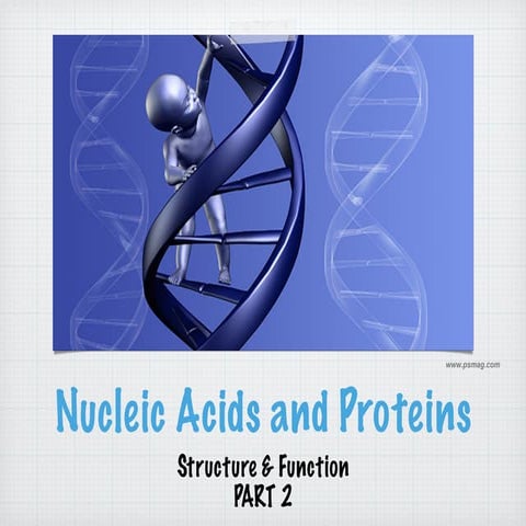 Lecture on nucleic acid and proteins