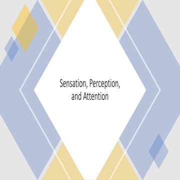 Lecture Sensation perception and attention.pptx