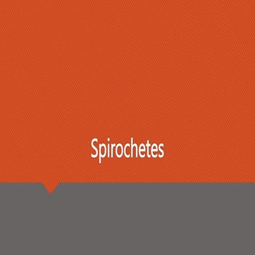 Lecture  Spirochetes45565444433333333333333333333333.pptx