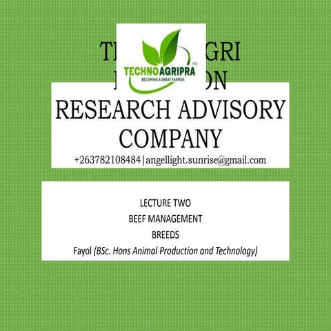 Lecture two  beef production