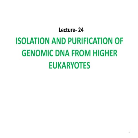 Lectut btn-202-ppt-l24. isolation and purification of genomic dna from higher...