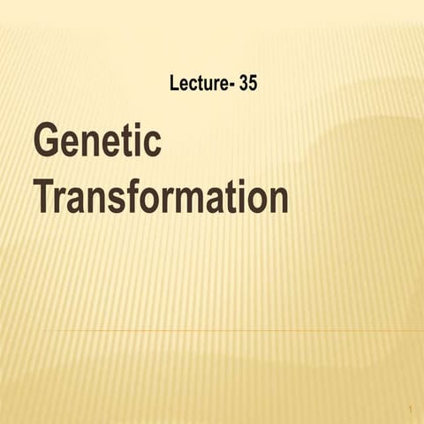 Lectut btn-202-ppt-l35. genetic transformation