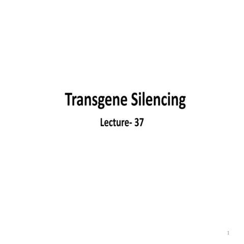 Lectut btn-202-ppt-l37. transgene silencing