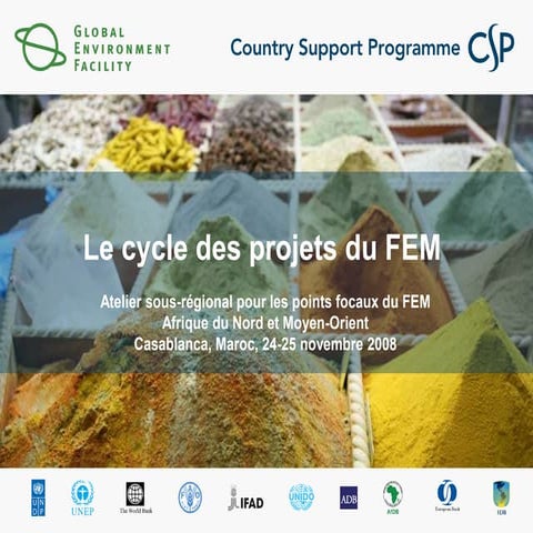 Le cycle des projets du FEM.ppt