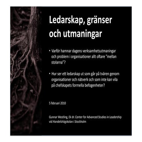 Ledarskap, Gränser och utmaningar Föredrag strålsäkerhetsmyndigheten 20100205