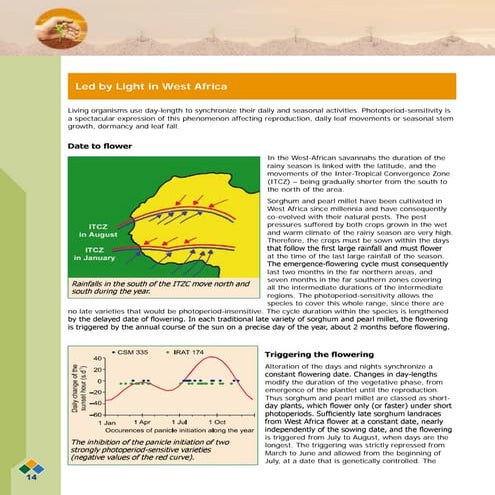 Led by light in west africa