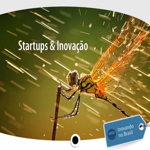 Ledface papos-na-rede