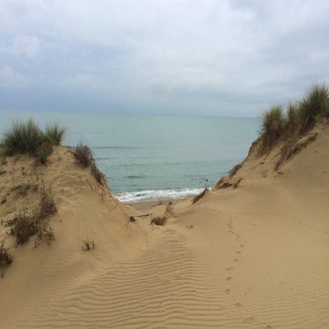 Reportage Le dune del Parco di S.Rossore