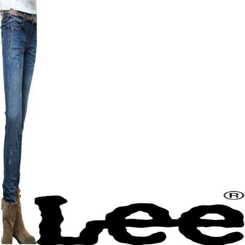 Lee Brand analyses presentation