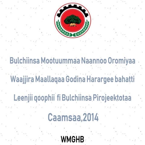 Leenjii Qophii fi Bul.Pirojektii 2014.ppt