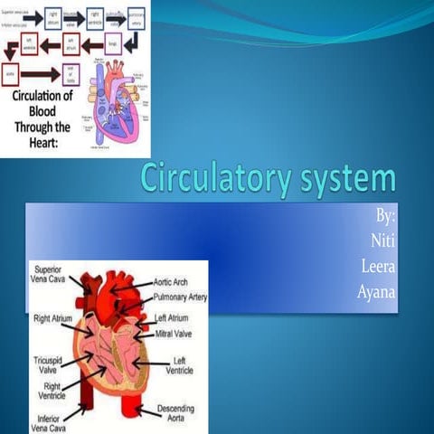 Body Systems - Grade 4