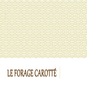 Le forage carotté dans l'industrie minière.pptx