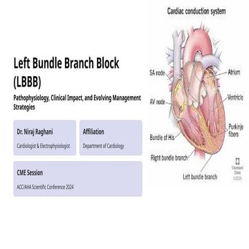 Bundle branch blocks | PPT