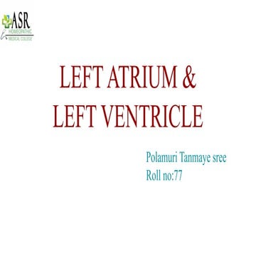 anatomy of Left atrium and left ventricle of the human heart | PPTX