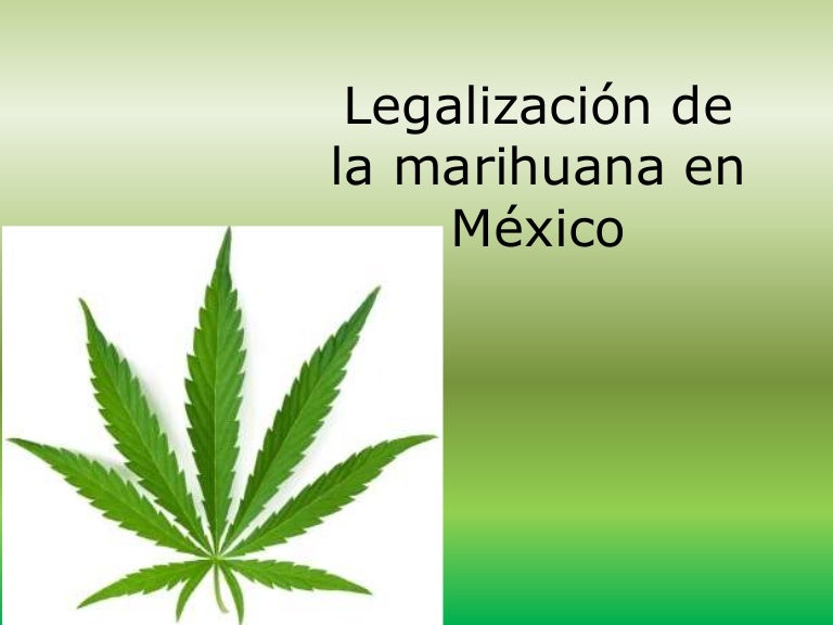 Legalización de la marihuana en méxico