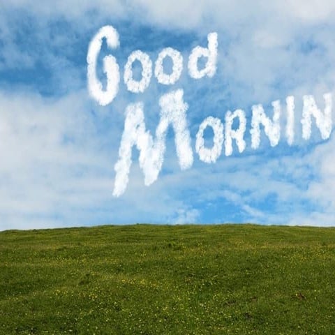 LEGAL SYSTEM is a goof girl i am a godkndbd djjnsn jsiis