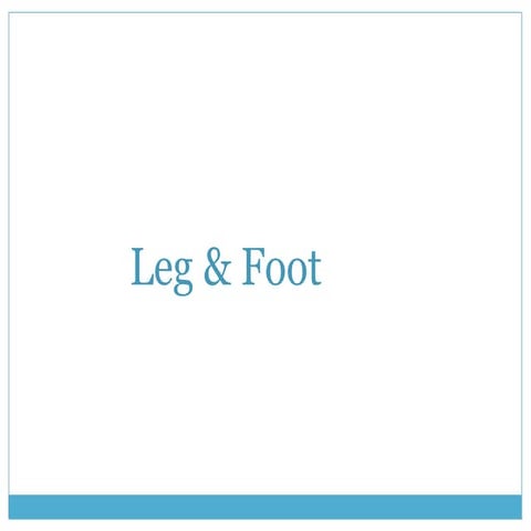 Leg&Foot 1
