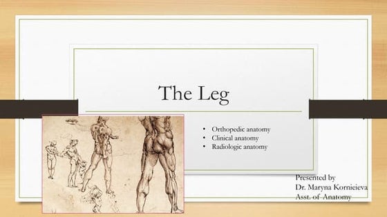 Anatomy and physiology of tibia and fibula tibia | DOC