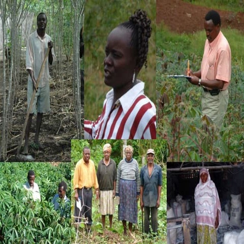 LeggJamesCambodiaCMD.pptx