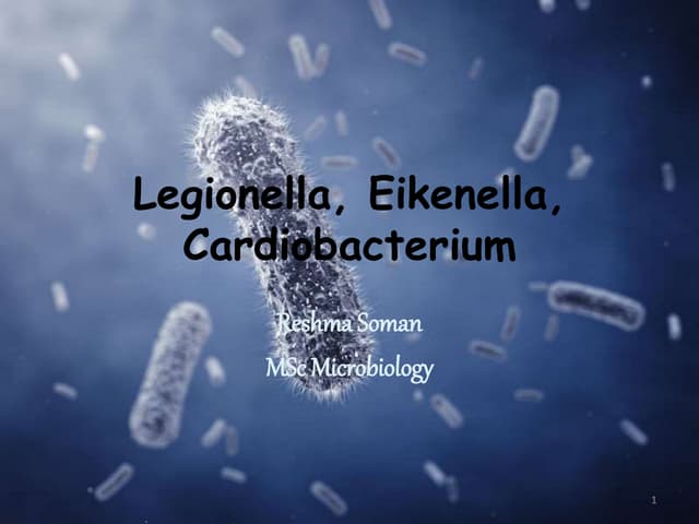 Legionella, eikenella, cardiobacterium