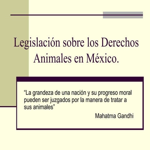 Legislación sobre los derechos animales en mexico