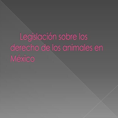 Legislación sobre los derechos de los animales en