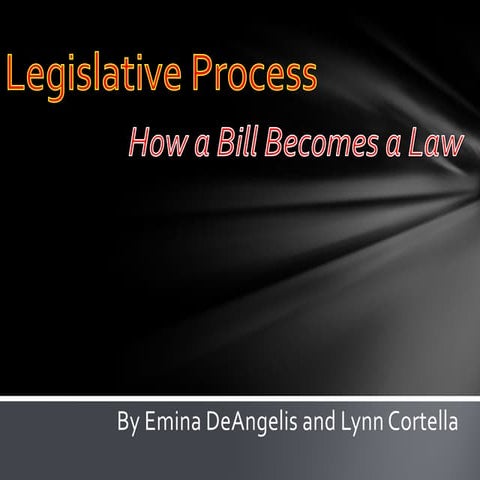 Legislative process