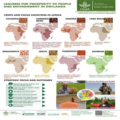 Legumes for prosperity to people and environment in drylands