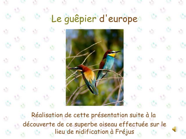 Le gupier d-_europe de josiane