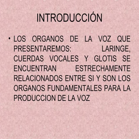 aparato articulatorio