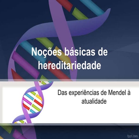 1ª lei de mendel | PPT