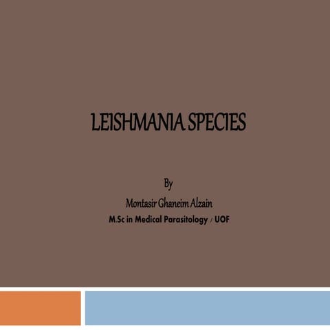 Leishmania species 